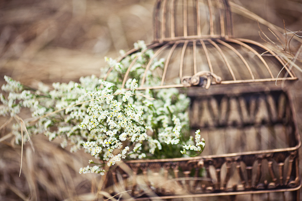 shabby-chic-engagement-session