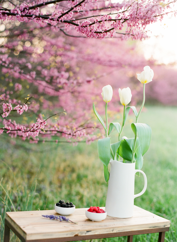 spring-bridal-session