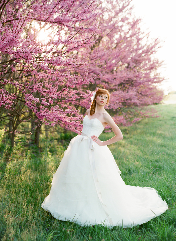 spring-bridal-session
