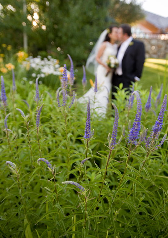 Wedding kiss behind a garden with purple flowers and greenery