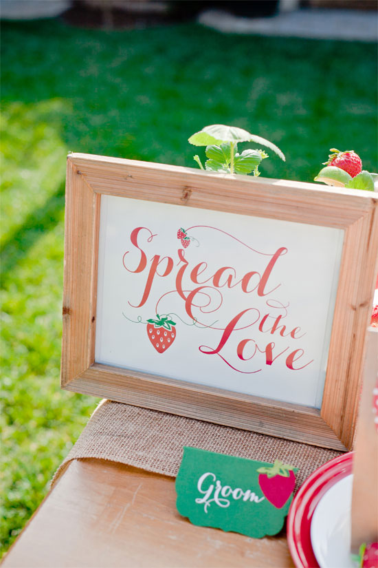 strawberry-garden-bridal-shower-ideas