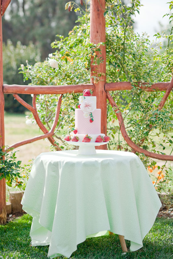 strawberry-garden-bridal-shower-ideas