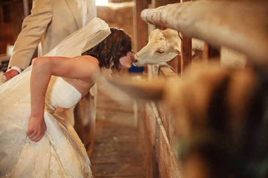 an-oregon-barn-yard-wedding