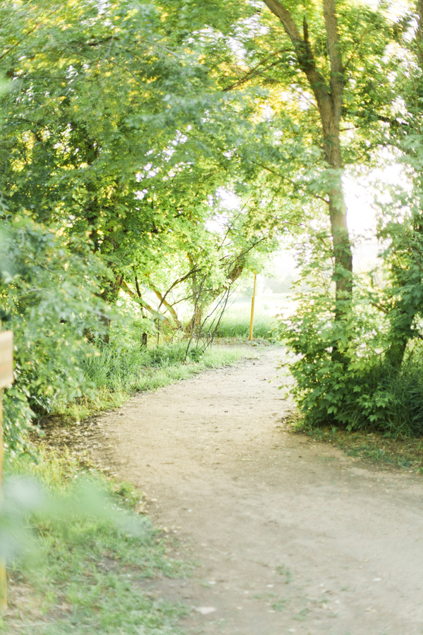 botanic-garden-wedding-by-brumley