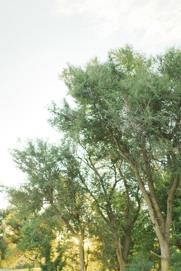 botanic-garden-wedding-by-brumley