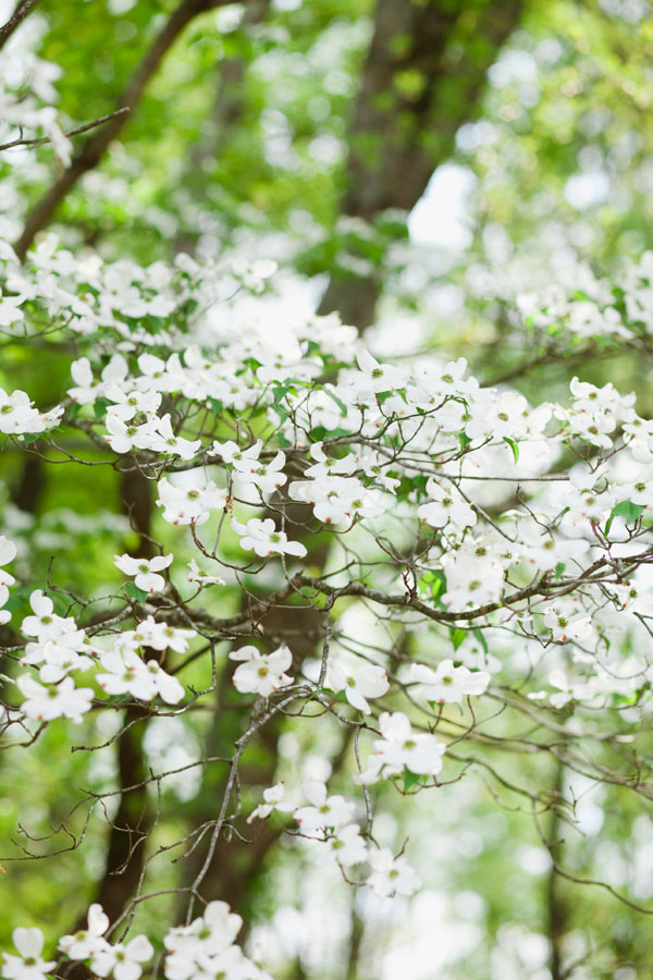 dogwood-wedding-inspiration