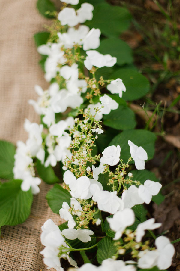 dogwood-wedding-inspiration