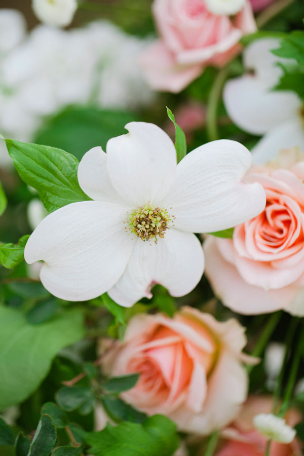 dogwood-wedding-inspiration