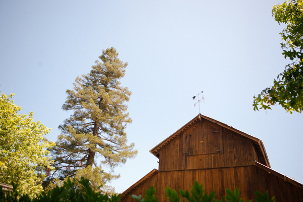 fourth-of-july-summer-wedding