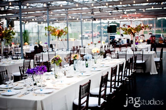 Greenhouse Wedding :: Bright and Bold :: JAGstudios