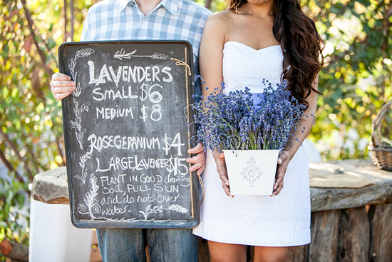 Lavender Farm Engagement