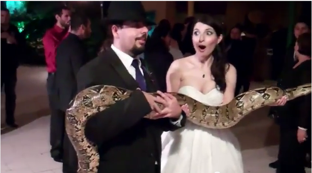 Wedding guests surprised by snake