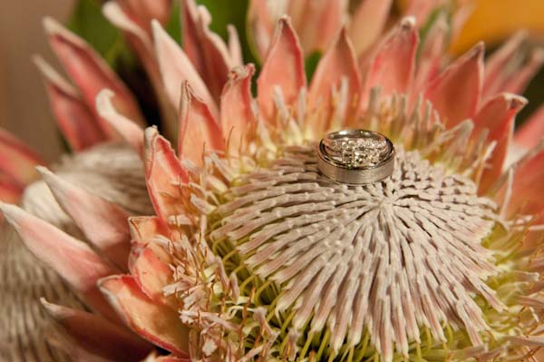 unique-and-artsy-backyard-wedding