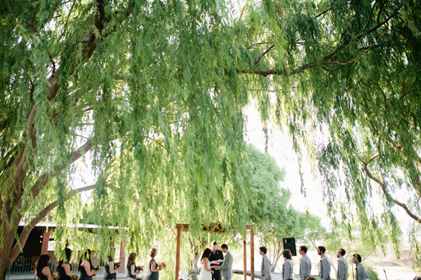 wedding-day-pom-pom-wall