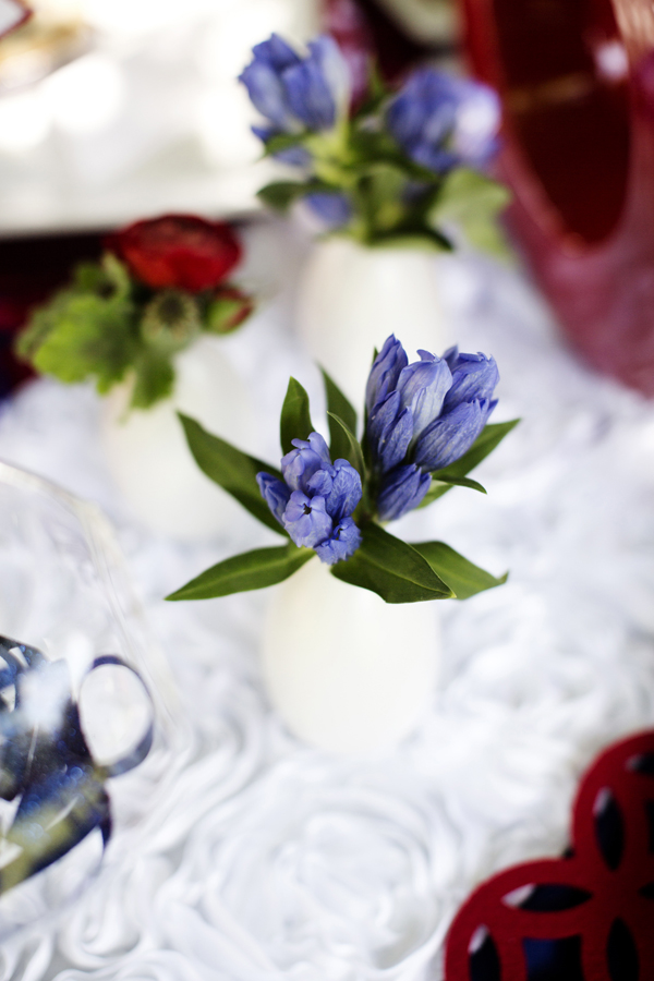 americana-backyard-wedding-ideas