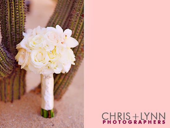 Cabo Destination Wedding| Capella Pedregal beach