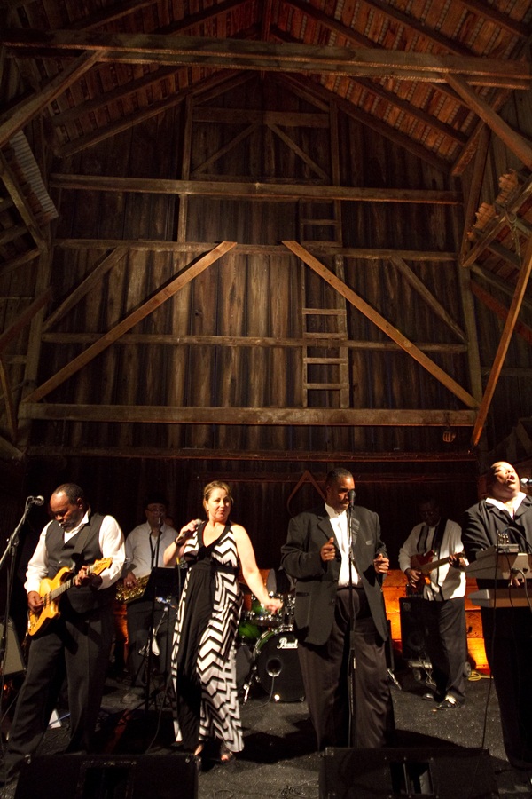 classic-vineyard-wedding-at-healdsburg