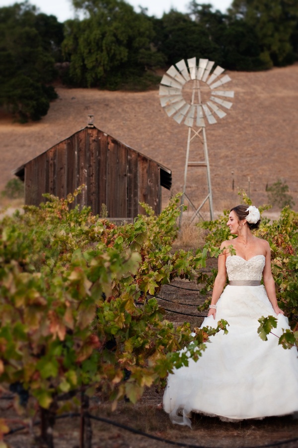 classic-vineyard-wedding-at-healdsburg