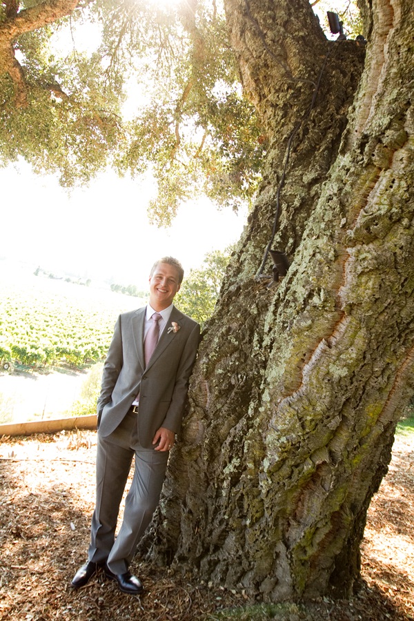 classic-vineyard-wedding-at-healdsburg