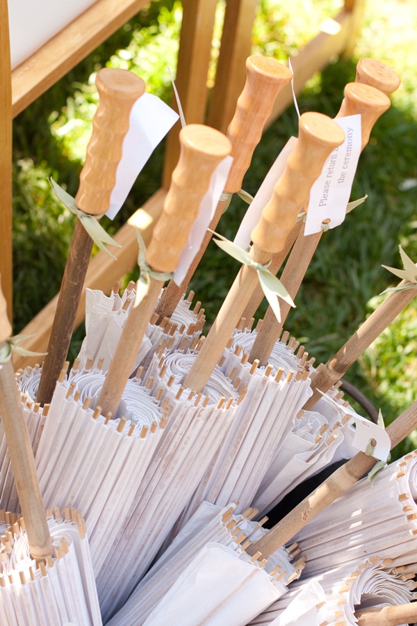 classic-vineyard-wedding-at-healdsburg