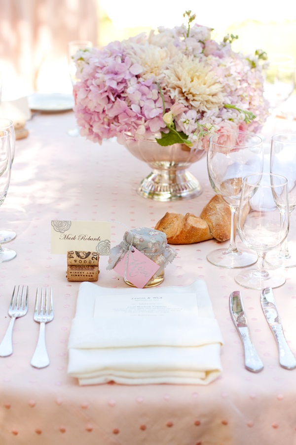 classic-vineyard-wedding-at-healdsburg