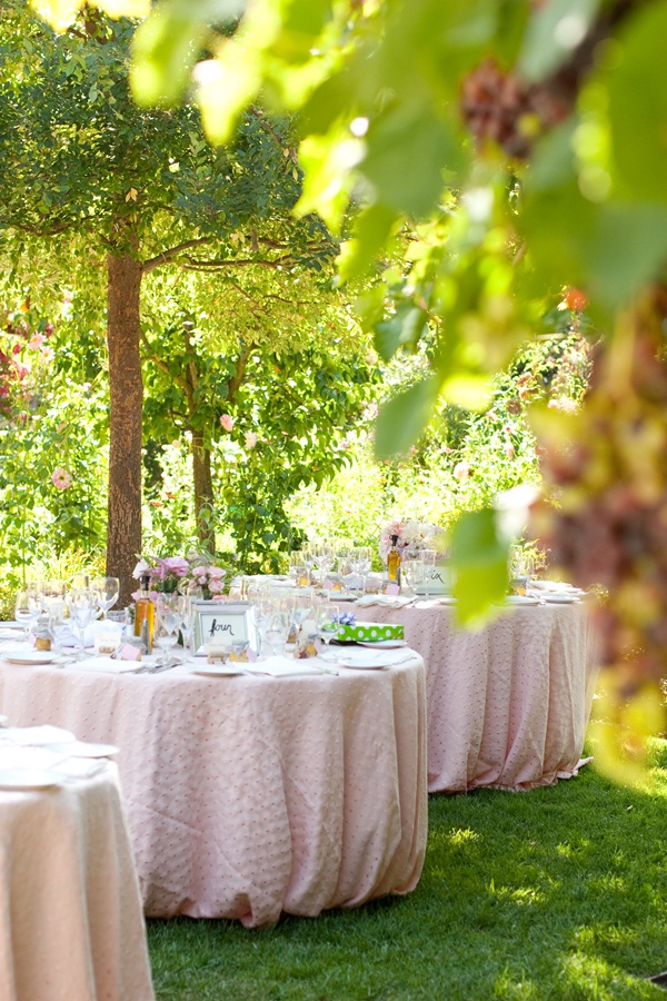 classic-vineyard-wedding-at-healdsburg