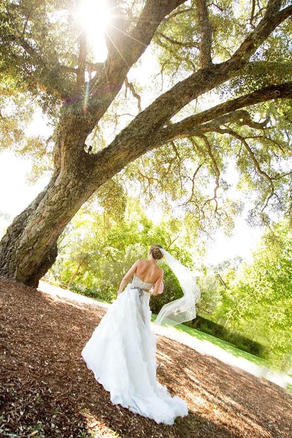 classic-vineyard-wedding-at-healdsburg