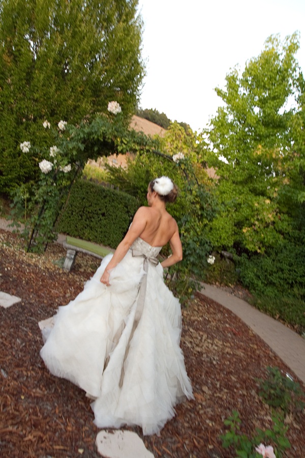 classic-vineyard-wedding-at-healdsburg