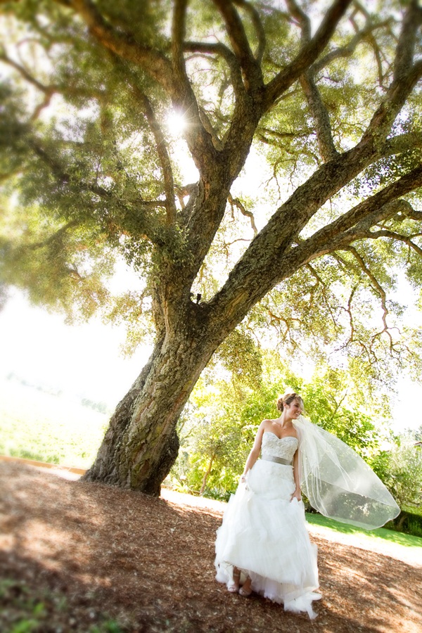 classic-vineyard-wedding-at-healdsburg