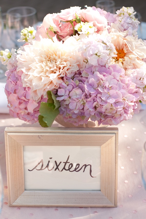 classic-vineyard-wedding-at-healdsburg