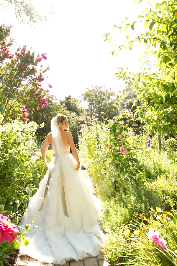 classic-vineyard-wedding-at-healdsburg