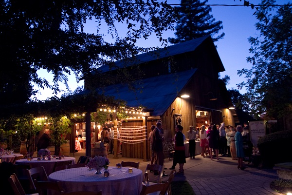 classic-vineyard-wedding-at-healdsburg