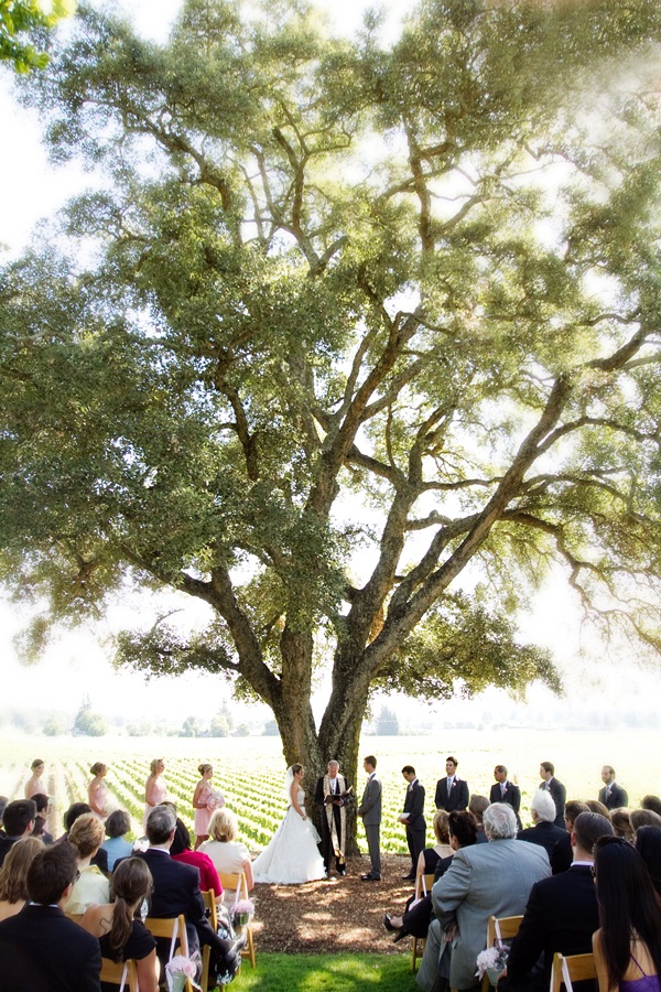 classic-vineyard-wedding-at-healdsburg