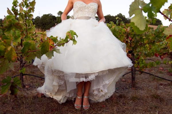 classic-vineyard-wedding-at-healdsburg