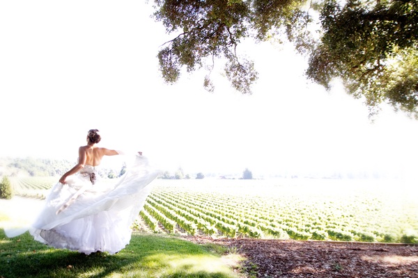 classic-vineyard-wedding-at-healdsburg