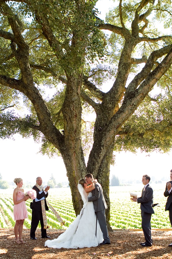 classic-vineyard-wedding-at-healdsburg