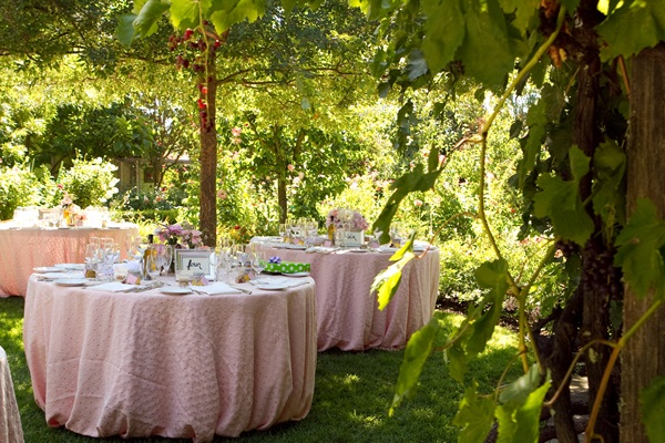 classic-vineyard-wedding-at-healdsburg