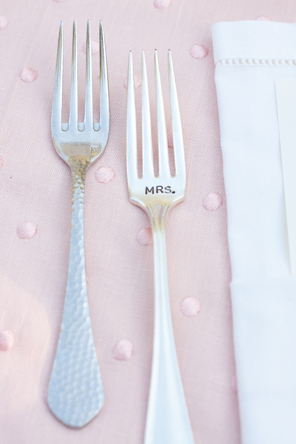 classic-vineyard-wedding-at-healdsburg