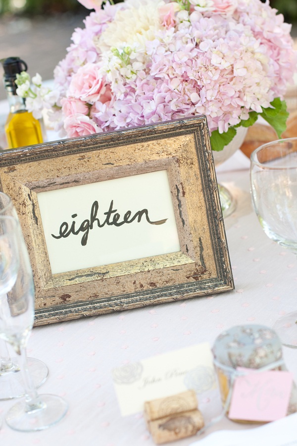 classic-vineyard-wedding-at-healdsburg