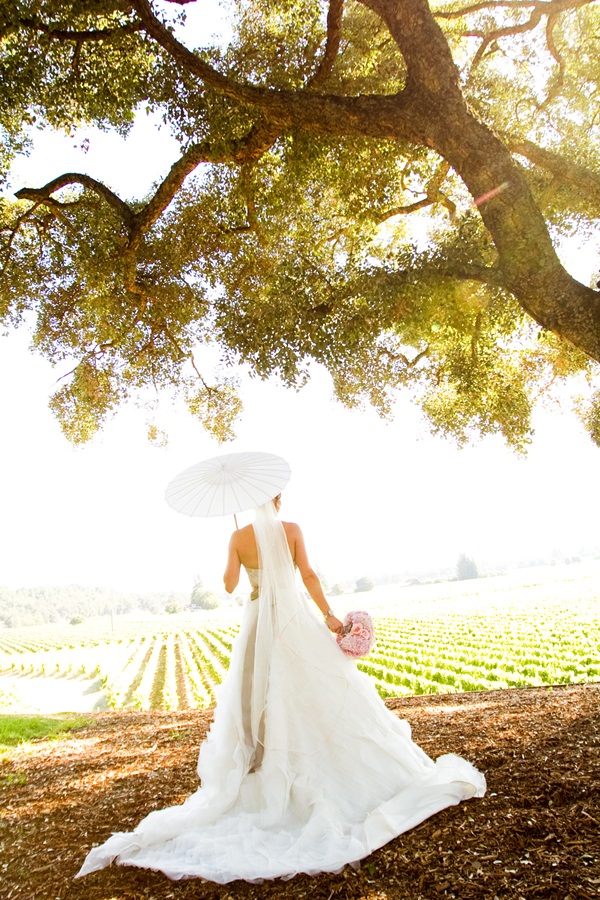 classic-vineyard-wedding-at-healdsburg