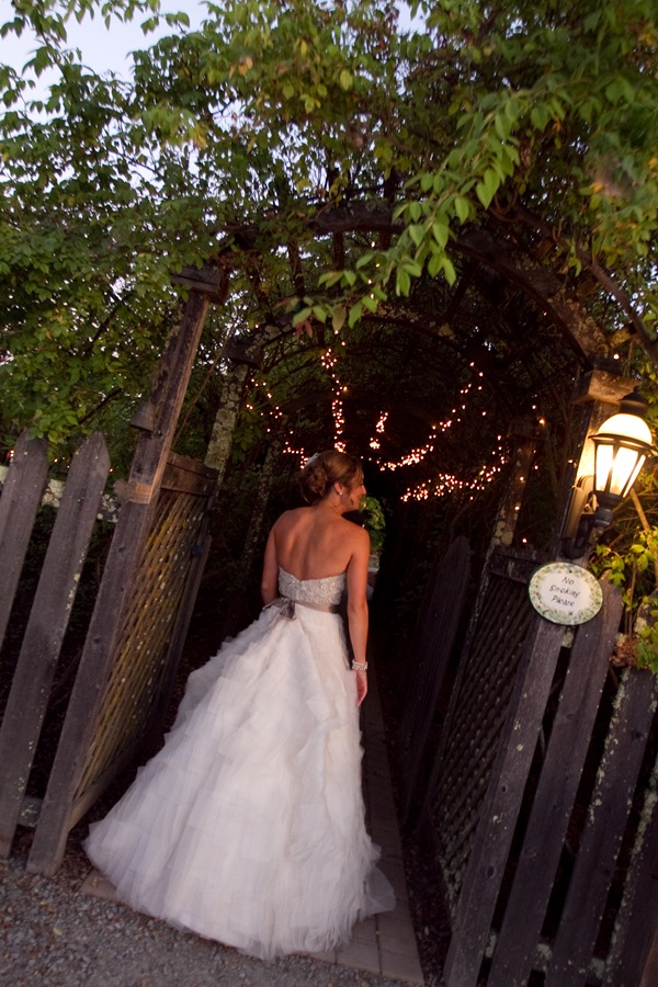 classic-vineyard-wedding-at-healdsburg
