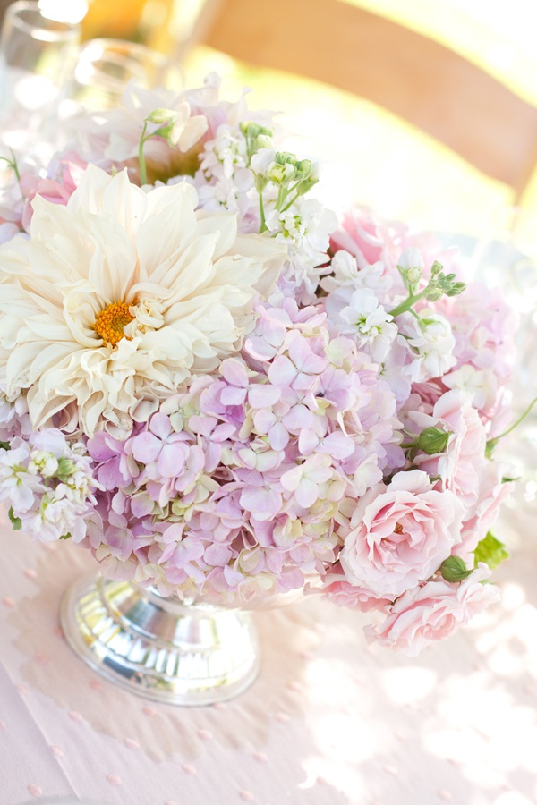 classic-vineyard-wedding-at-healdsburg