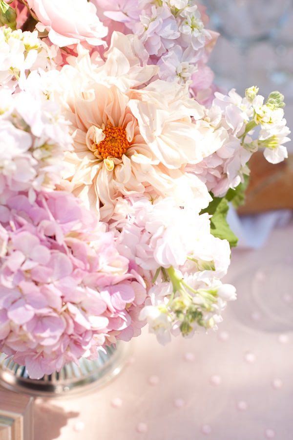 classic-vineyard-wedding-at-healdsburg