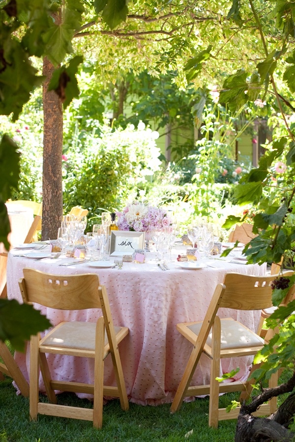 classic-vineyard-wedding-at-healdsburg