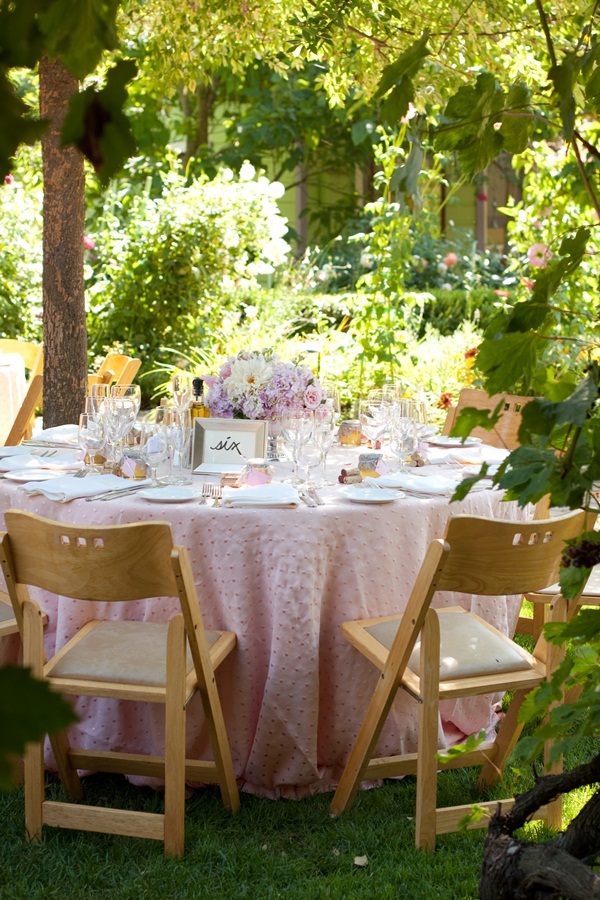 classic-vineyard-wedding-at-healdsburg