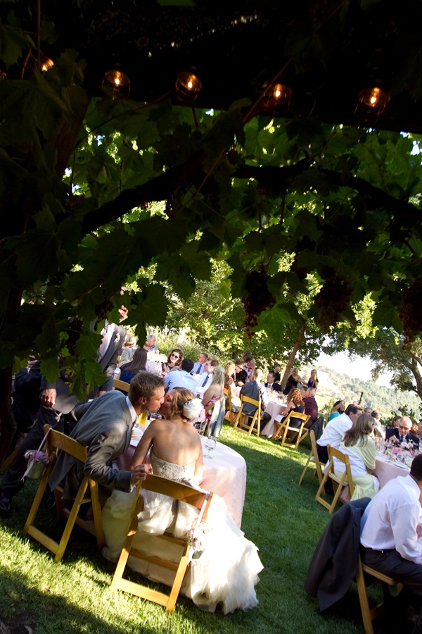 classic-vineyard-wedding-at-healdsburg
