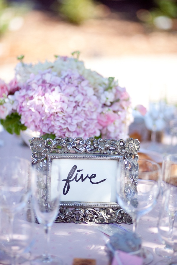 classic-vineyard-wedding-at-healdsburg