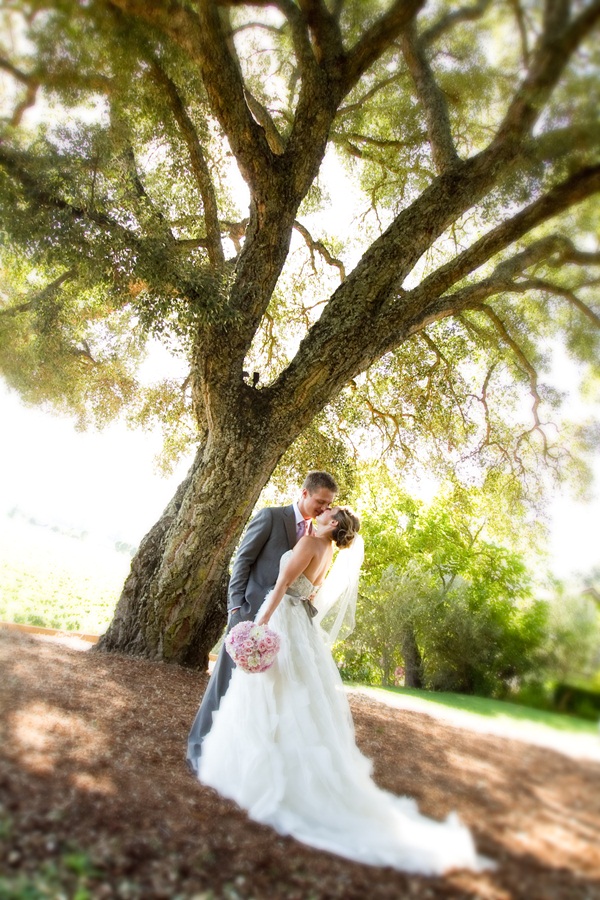 classic-vineyard-wedding-at-healdsburg
