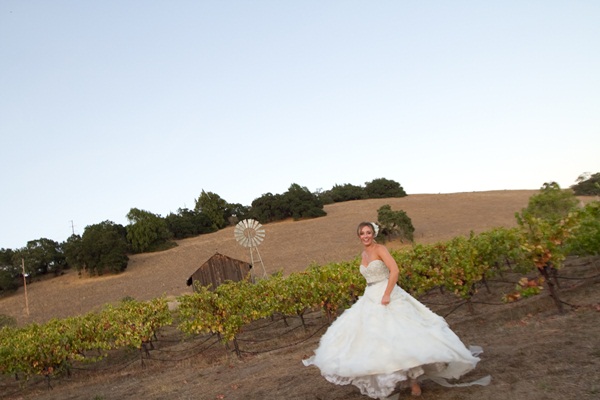 classic-vineyard-wedding-at-healdsburg
