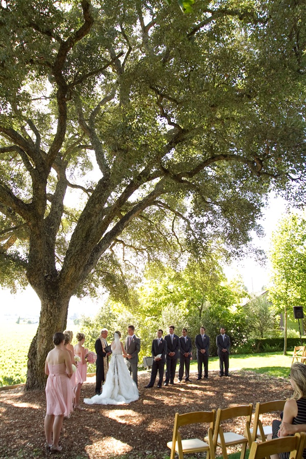 classic-vineyard-wedding-at-healdsburg